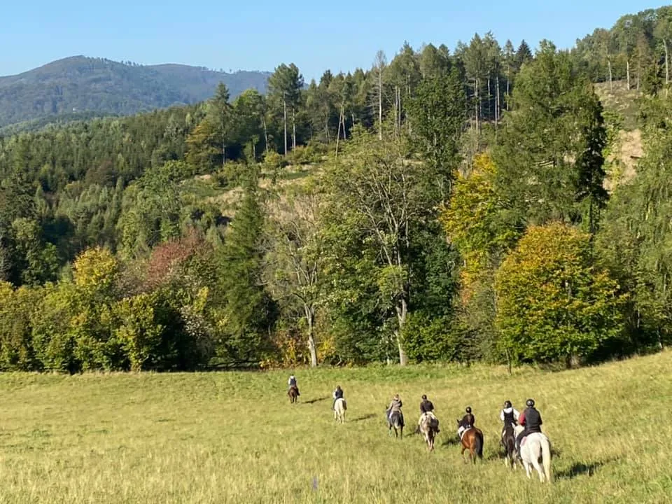 Rossa Montana – jazda konna