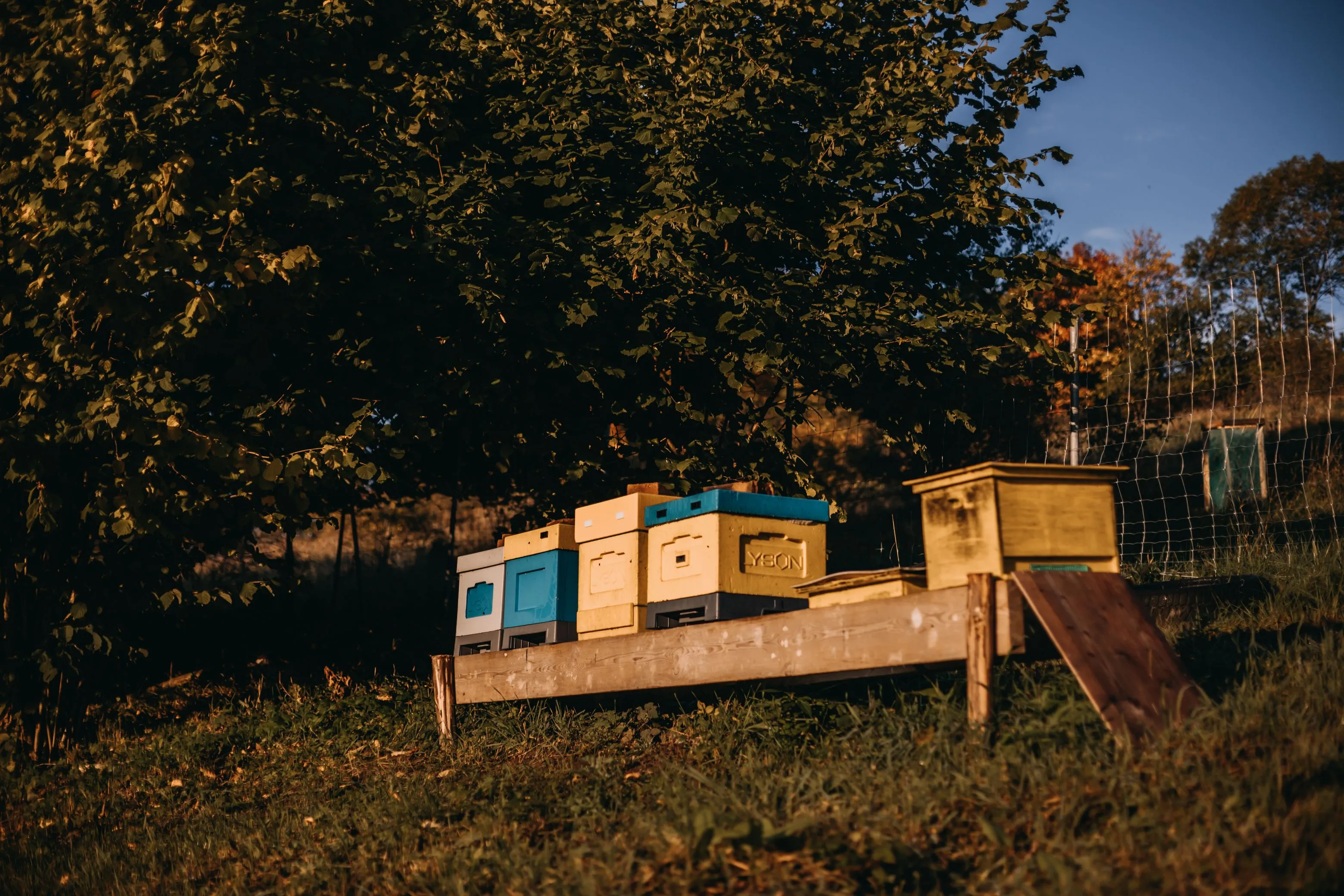 Domek M² w Chwalisławiu