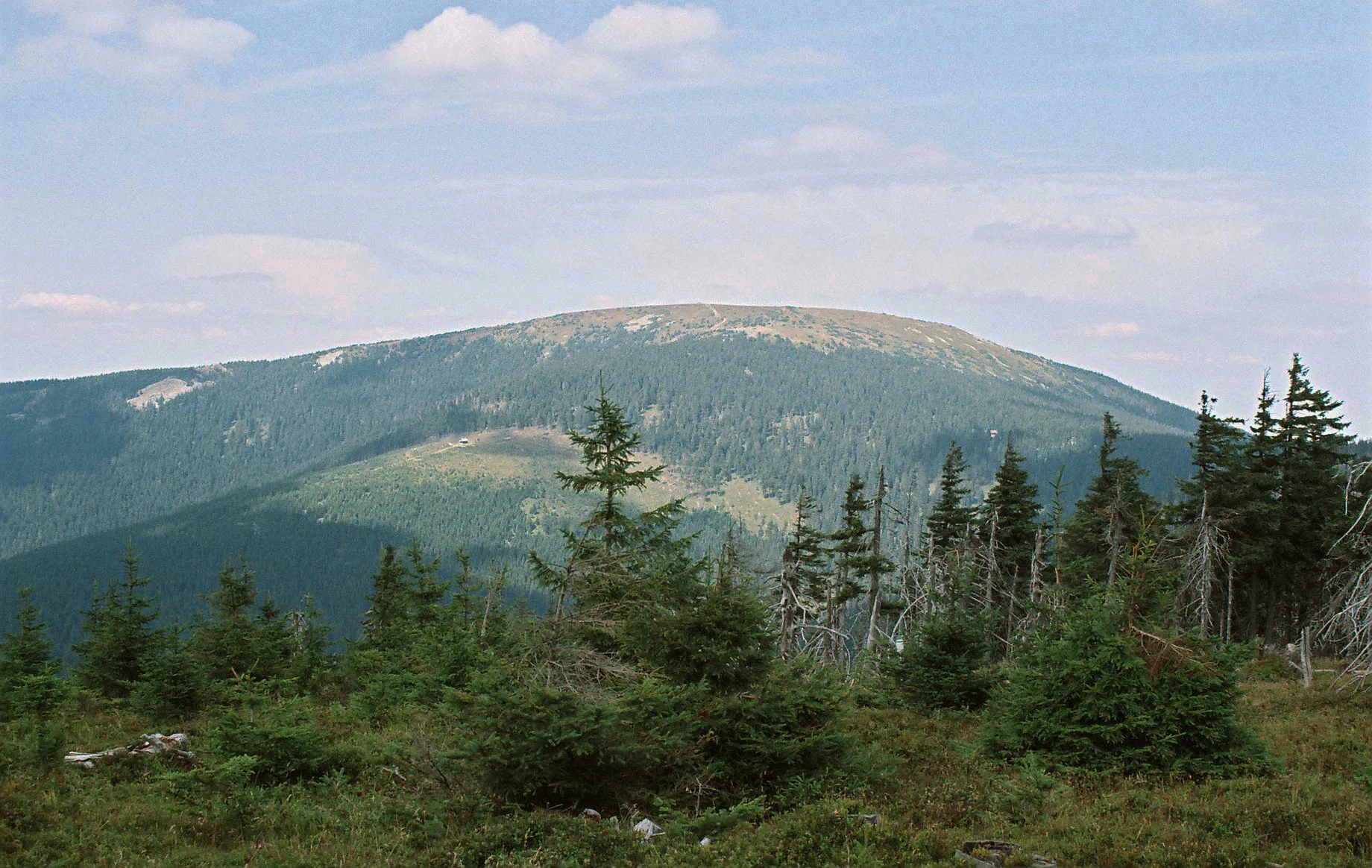 Masyw Śnieżnika