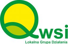 Logo_Qwsi